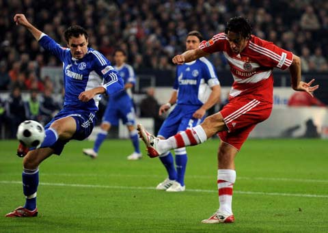 确立了自己 确立了自己